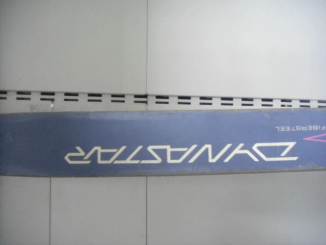 Лыжи горные Dynastar SR