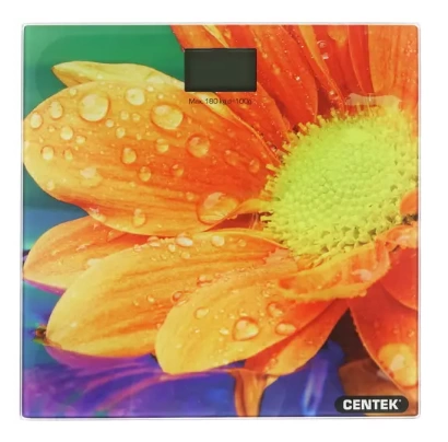Весы Centek CT-2420