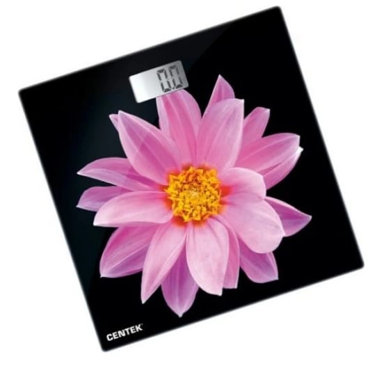 Весы Centek CT-2416