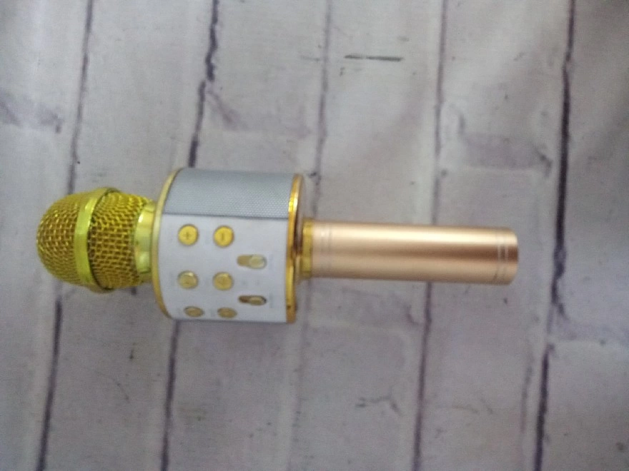 Портативная акустика Wireless WS-858