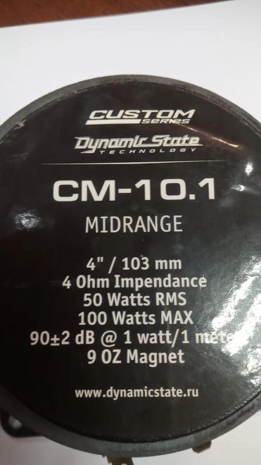 Автоакустика Dynamic State Custom Series CM-10.1 4Ом