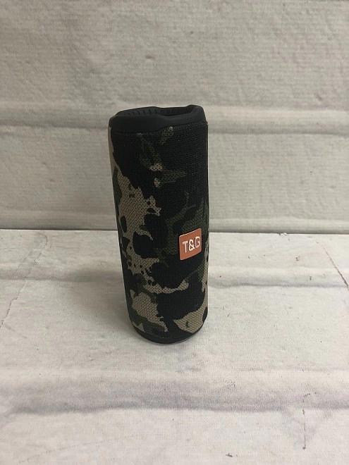 Портативная акустика T&G 365
