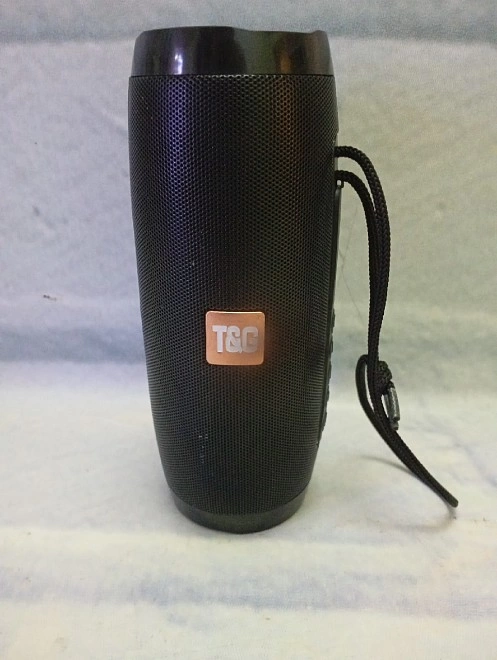 Портативная акустика T&G TG157
