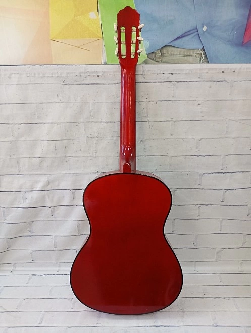 Гитара акустическая Belucci BC-3905