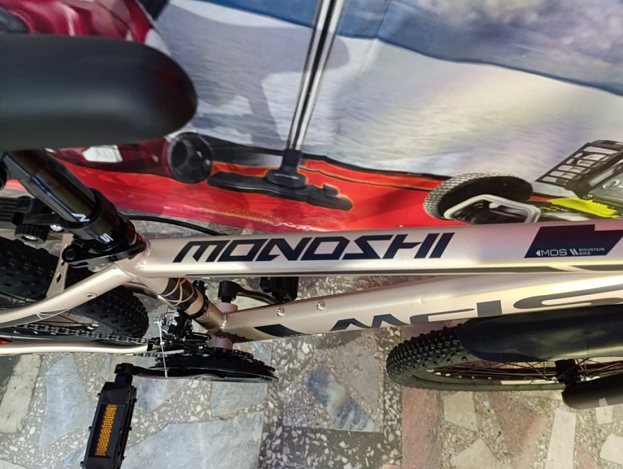 Велосипед взрослый Mondshi 24"TSZ-T 011-24 ФМ