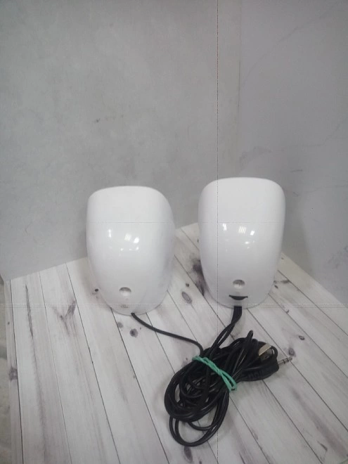 Акустическая система 2.0  DEXP R110