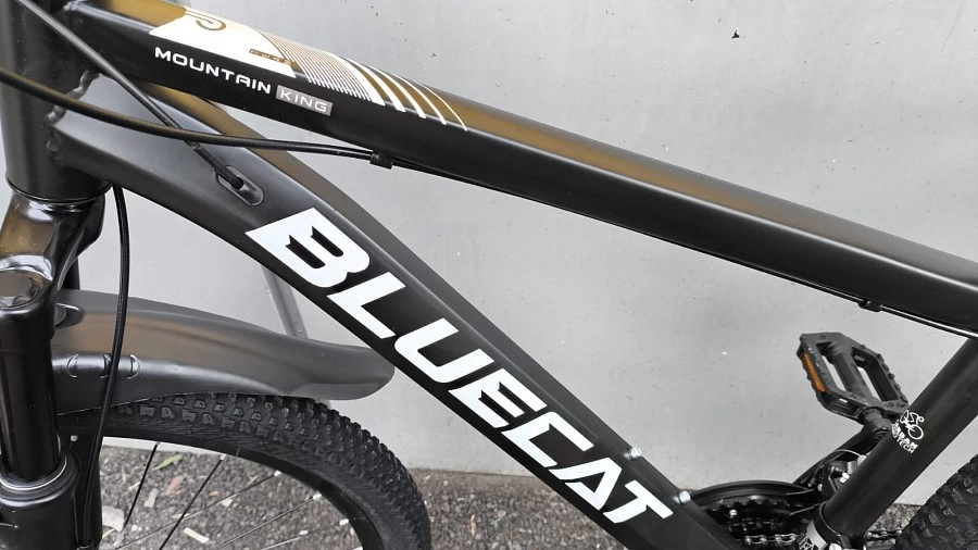 Велосипед BLUECAT 26 frame series ФМ