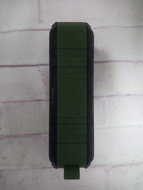 Портативная акустика Dexp P450