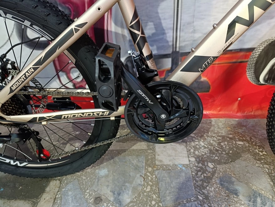 Велосипед взрослый Mondshi 24"TSZ-T 011-24 ФМ