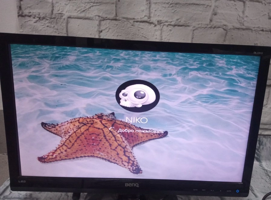 Монитор BENQ DL2215