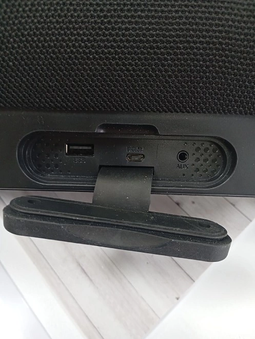 Портативная акустика Aceline P550