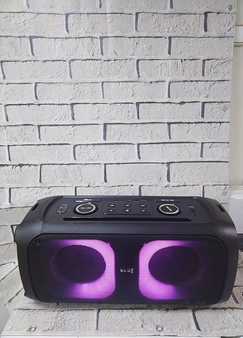 Портативная акустика  Ritmix  SP-915B