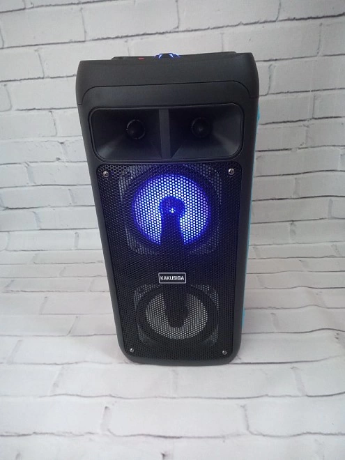 Акустическая система 1.0 KAKUSIGA 