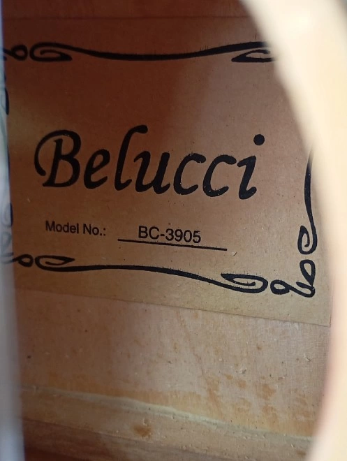 Гитара акустическая Belucci BC-3905