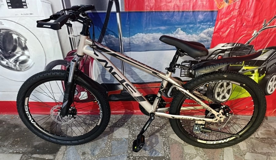 Велосипед взрослый Mondshi 24"TSZ-T 011-24 ФМ