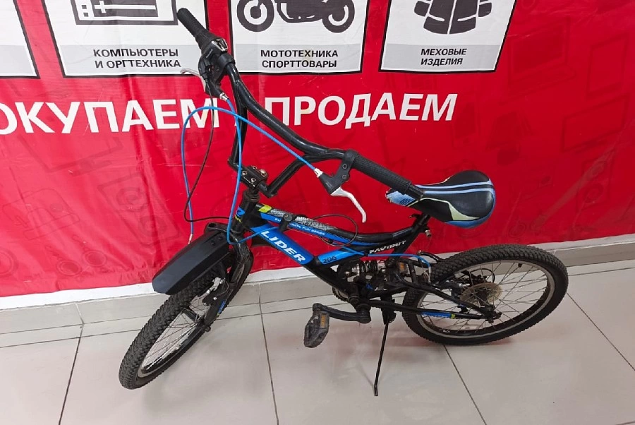 Велосипед детский Favorit Lider 206