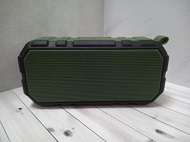 Портативная акустика Aceline P450