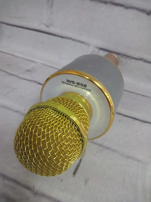 Портативная акустика Wireless WS-858