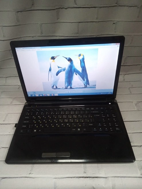 Ноутбук DNS E2-1800 1.70GHz/2Gb/500/HD7340Graphics