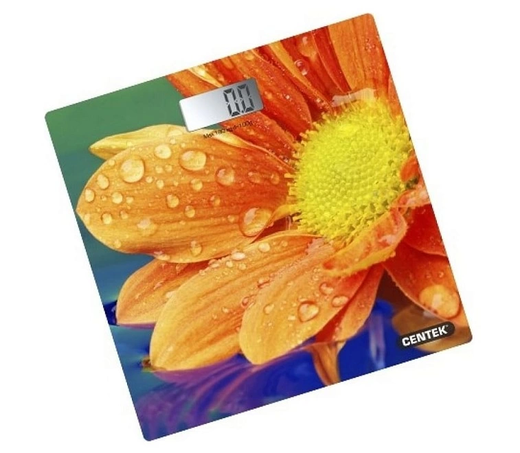Весы Centek CT-2420