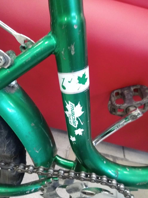 Велосипед детский Novatrack maple bike ФМ