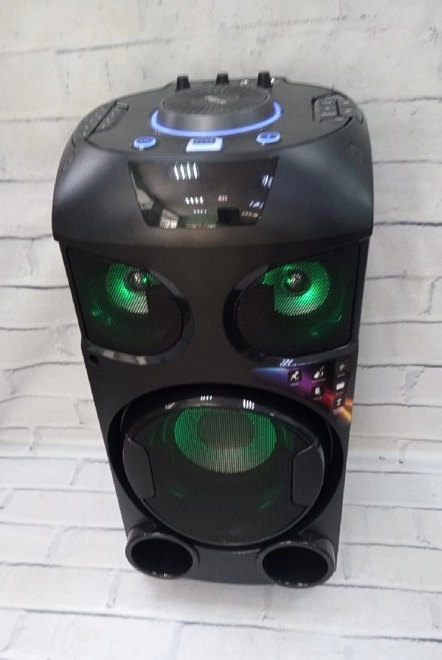 Портативная акустика Aceline LP-V100