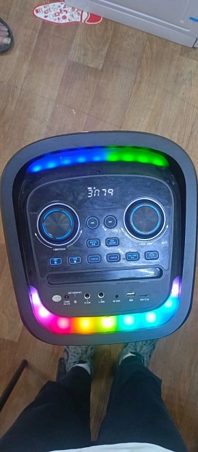 Акустическая система 1.0 Eltronic 30-26