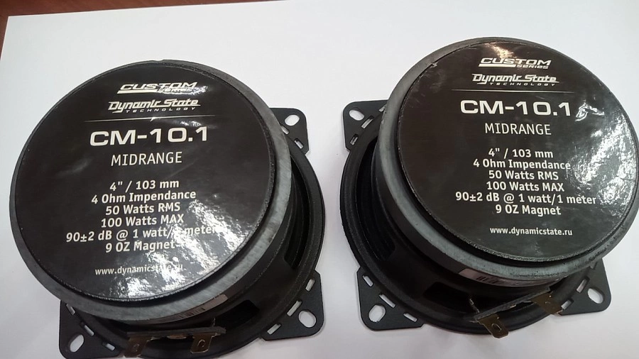 Автоакустика Dynamic State Custom Series CM-10.1 4Ом