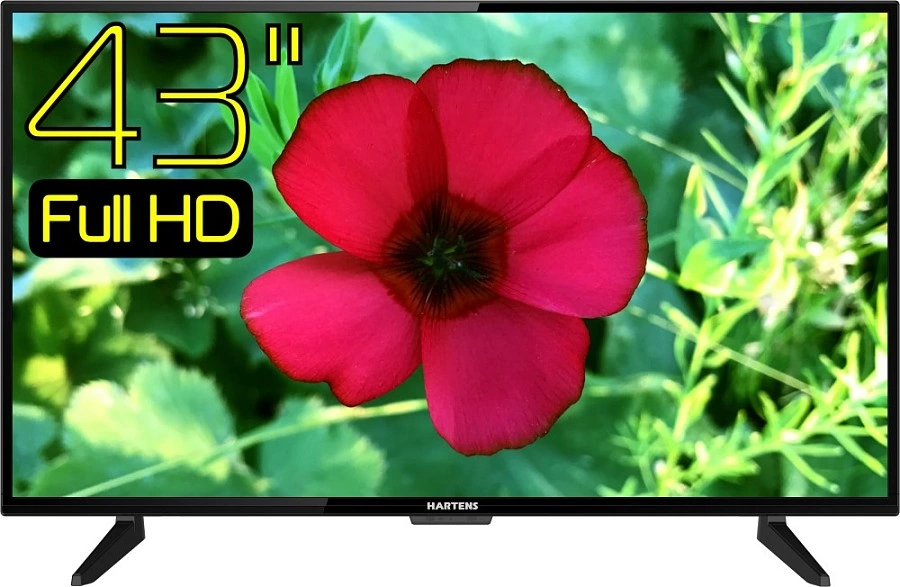 Телевизор LED 43" Hartens HTY-43FHD06B-S2