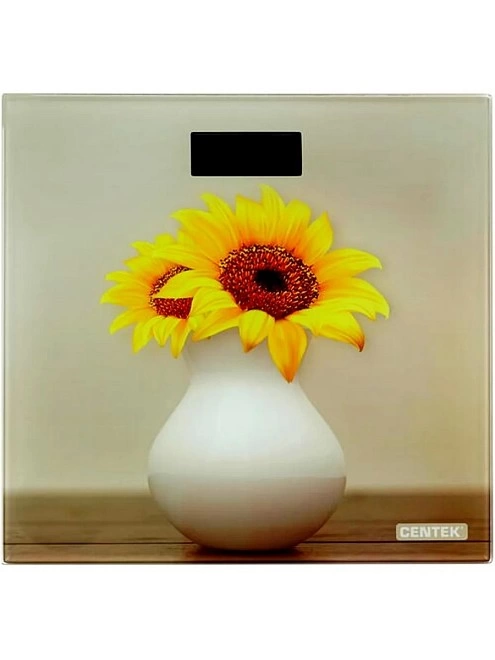 Весы Centek CT-2428