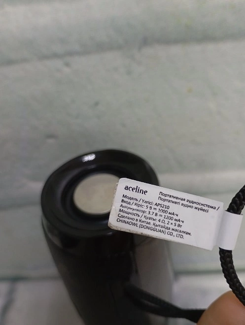 Портативная акустика Aceline APS210