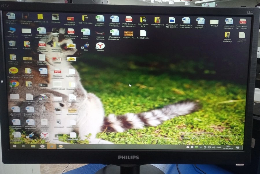 Монитор PHILIPS 193V5LSB2