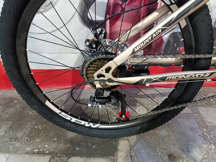 Велосипед взрослый Mondshi 24"TSZ-T 011-24 ФМ