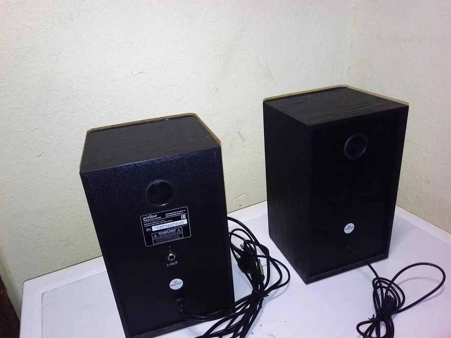 Акустическая система 1.0 Aceline ASP300