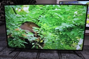 Телевизор RAZZ K50USS23