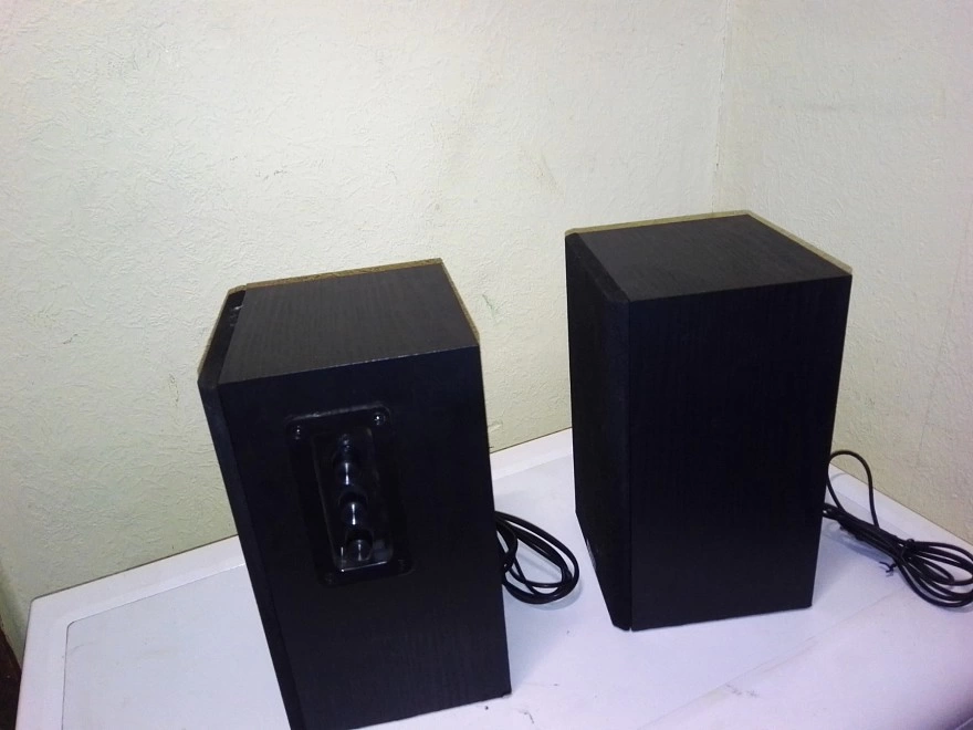 Акустическая система 1.0 Aceline ASP300