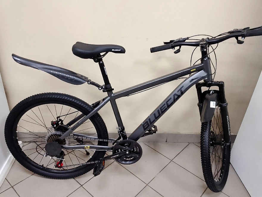 Велосипед BLUECAT FRAME SERIES 26" серый  ФМ