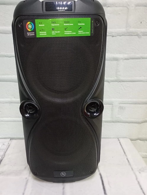 Акустическая система 1.0 Hi H1000A071A