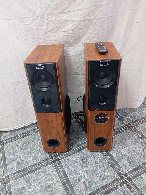 Акустическая система 1.0 Eltronic 20-82 HOME SOUND