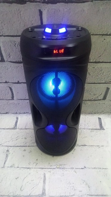 Портативная акустика Denn DBS750