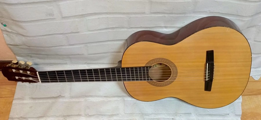 Гитара акустическая  Hohner НC06