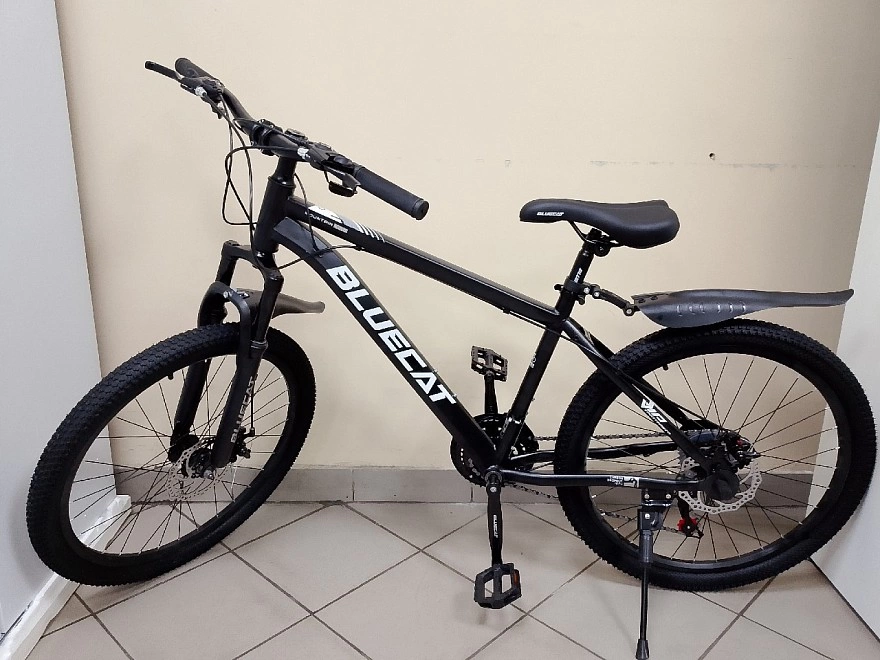 Велосипед BLUECAT FRAME SERIES 24" черный ФМ