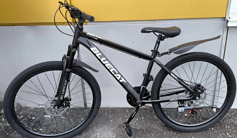 Велосипед BLUECAT 26 frame series