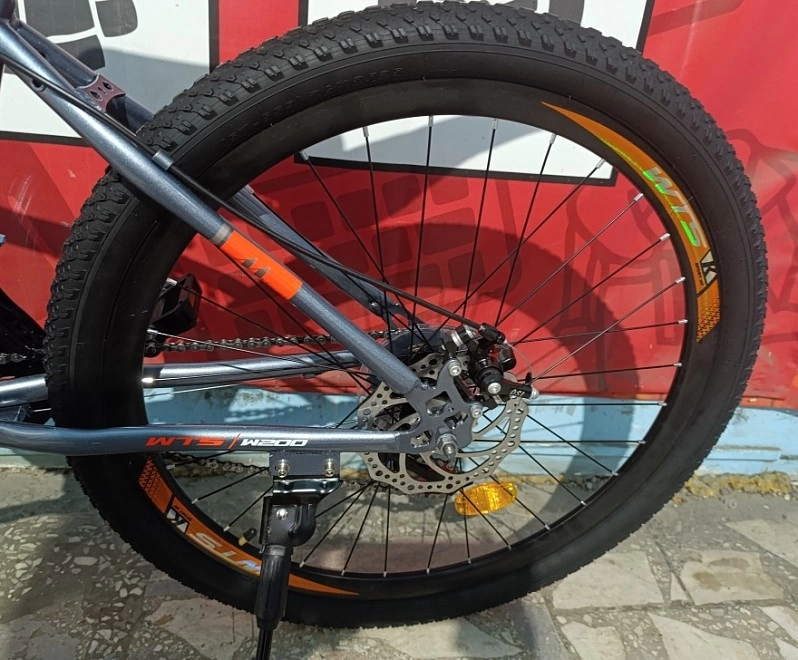 Велосипед WTS LX-26 W-4 ФМ