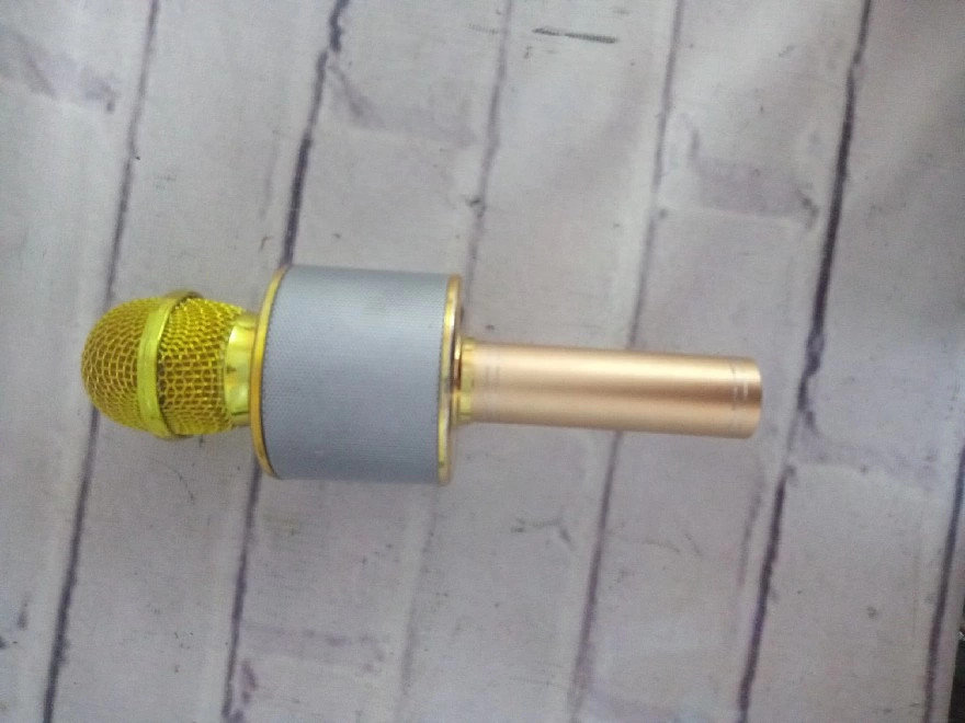Портативная акустика Wireless WS-858